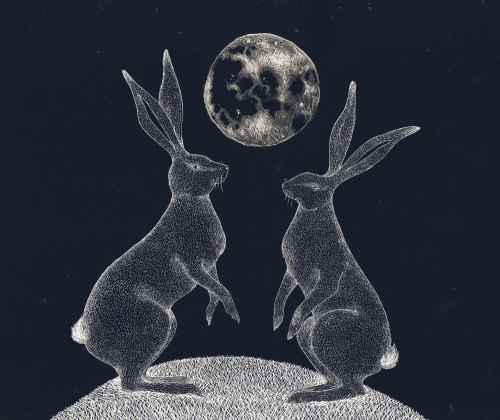 sosuperawesome:  Prints and cards by Catherine Rowe on Etsy 