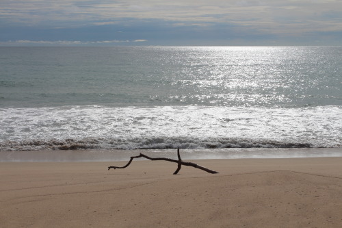 Thai mueang beach.