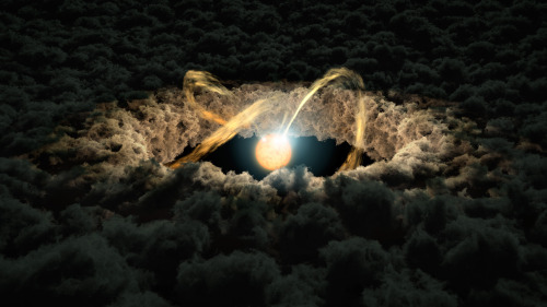 Light Echoes Used to Study Protoplanetary Disks : This illustration shows a star surrounded by a pro