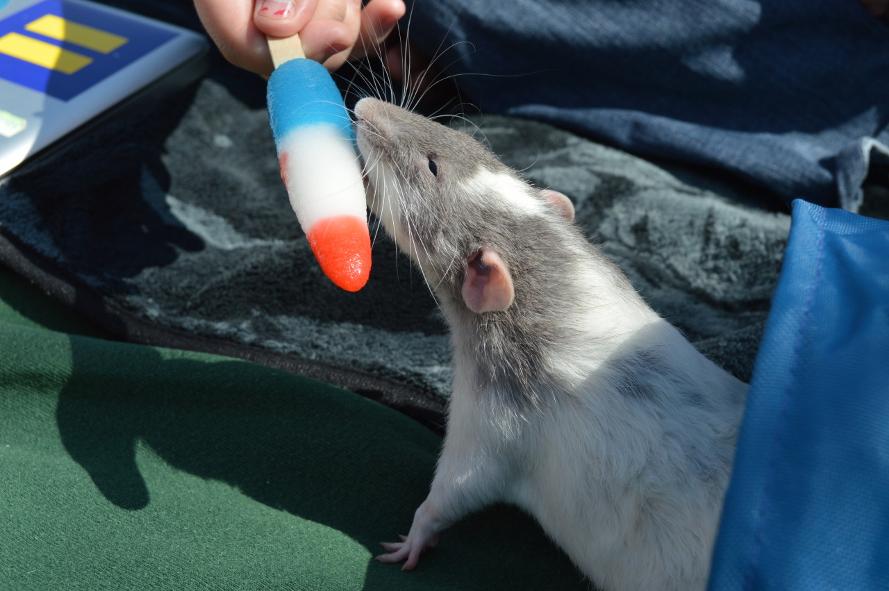 karasratworld:  Cooling off with a popsicle! What a pretty boy &lt;3 