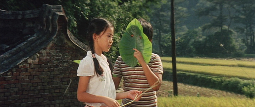 pickypicnic:  green green grass of home (1983)
