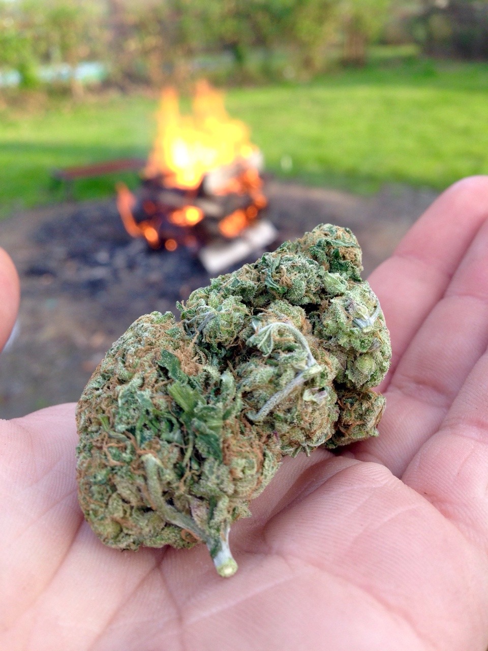 gamblingisfun:  🔥🔥🔥