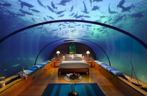 discoverynews:  Unusual Hotels Enhance Your AdventureFrom underwater hotels and igloos to tents suspended in the air, these hotels are bound to provide an unforgettable experience.See more here