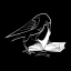 the-crows-codex