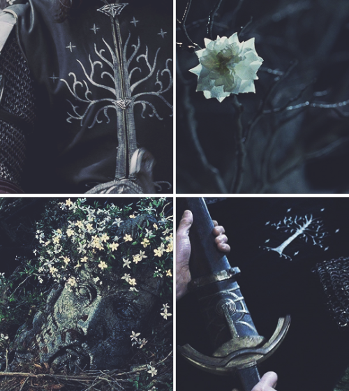 odirp:Gondor &amp; Rohan    --&gt; 500px version