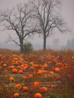 megarah-moon: October and Halloween/Samhain
