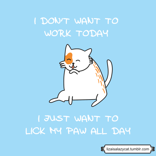 www.facebook.com/lizaisalazycat