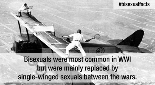 devhalena:rainbowdalek:Part two of a collection of best tweets found in the #bisexualfacts twitter t