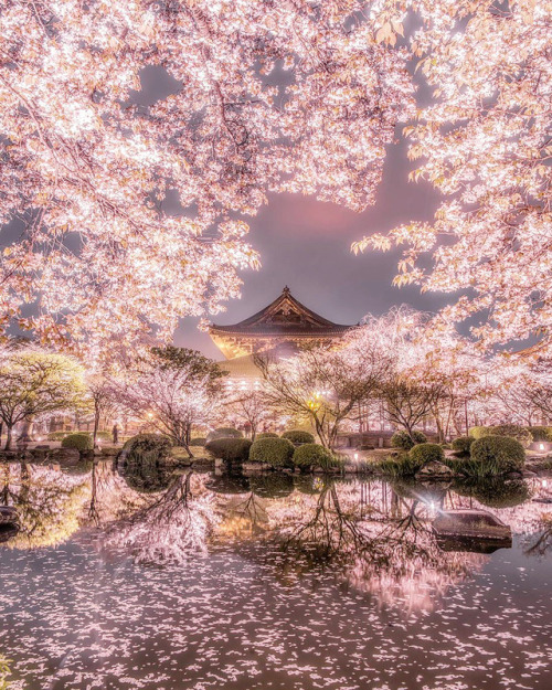 inkxlenses:Tō-ji during a bright spring evening | © Manabe Hisanori