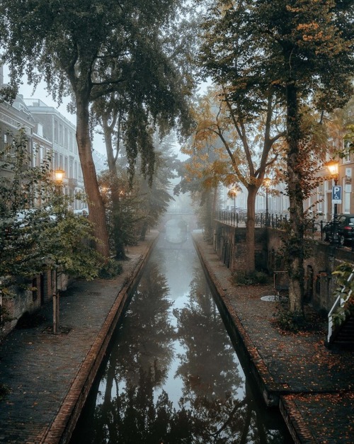 calellon: Utrecht (the Netherlands) during fall | @utrechtalive on IG