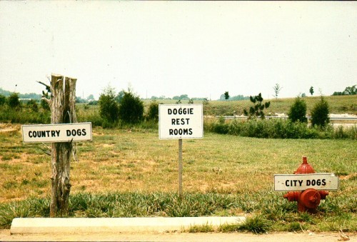 Doggie Restrooms Apparently, profiling was with us even back in the ‘80s when this card was pu