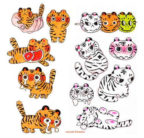 maruti-bitamin:

many tigersI set myself a goal to draw 100 tigers before the new year. I went crazy and drew 109 already.  
