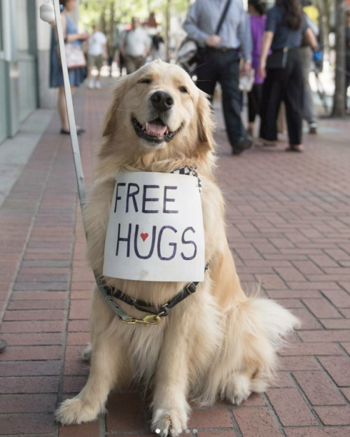 Free hugs