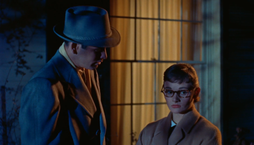 All That Heaven Allows (Douglas Sirk, 1955)