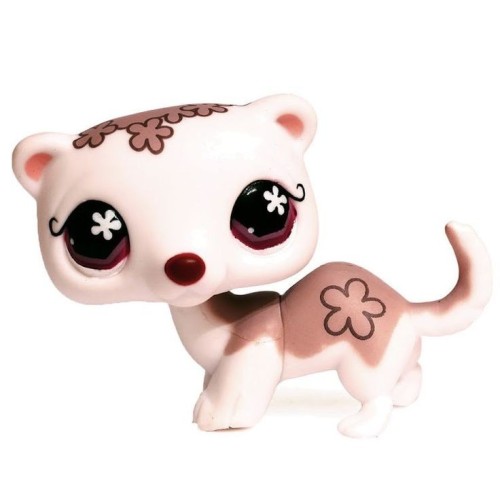Petshop
