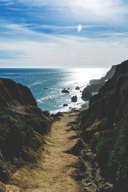 modernambition:  Pathway to Paradise | MDRNA