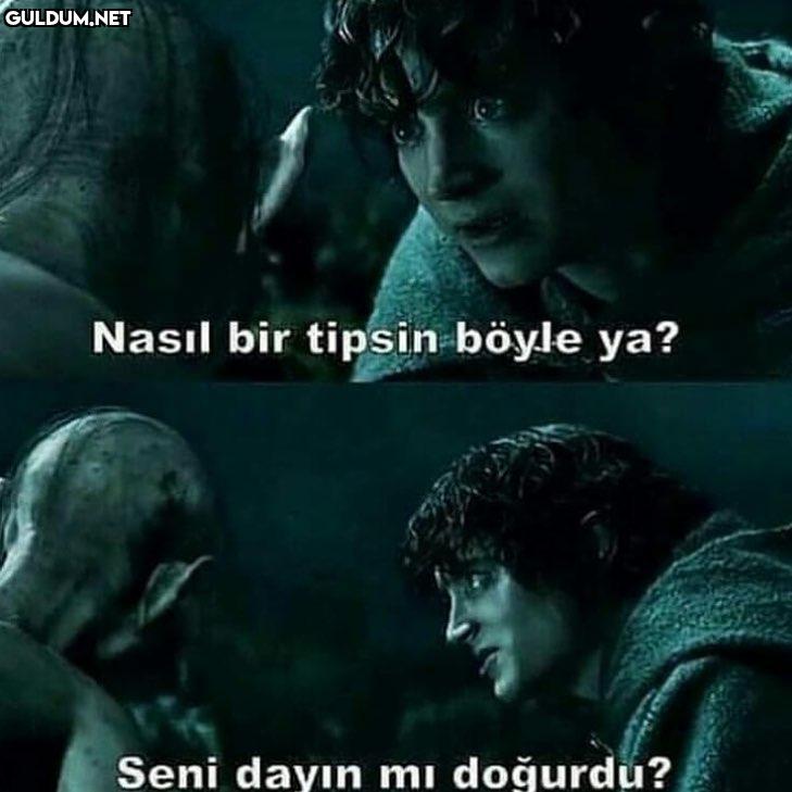 - Nasıl bir tipsin böyle...