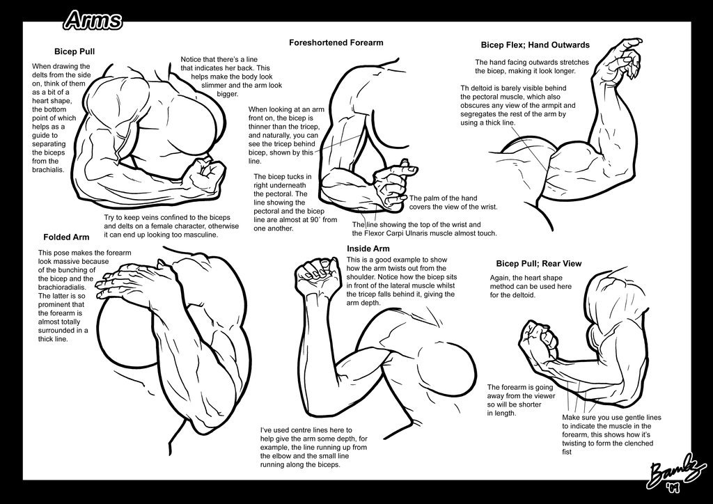 excessunrated:  fucktonofanatomyreferences:  Muscular women references!!!!!!!!!!