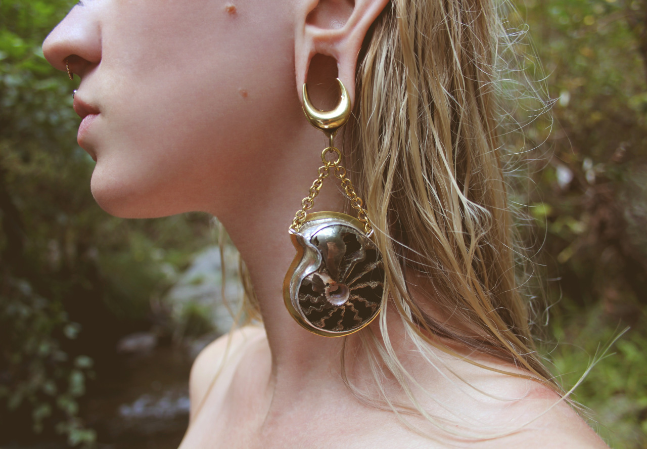 apolysis:  Diablo Organics Saddle Spreader Hook Pyritized Ammonite Weights  