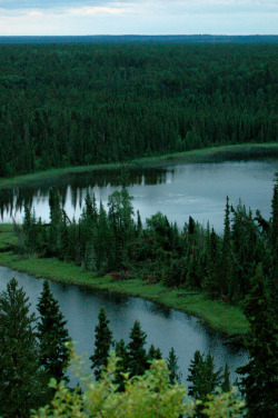 brutalgeneration:  Narrow Hills Provincial Park in Saskatchewan Canada (by Space Ritual) 