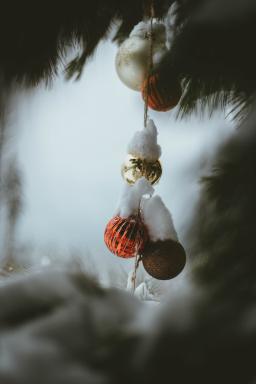 millivedder:Baubles and snowflakes, Seabeck WA