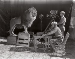 sixpenceee:    The beginning of the Hollywood era: the filming of the MGM screen credits, 1928.   