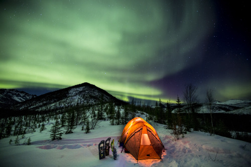 americasgreatoutdoors: Picture yourself under the Northern Lights at White Mountains National Recrea