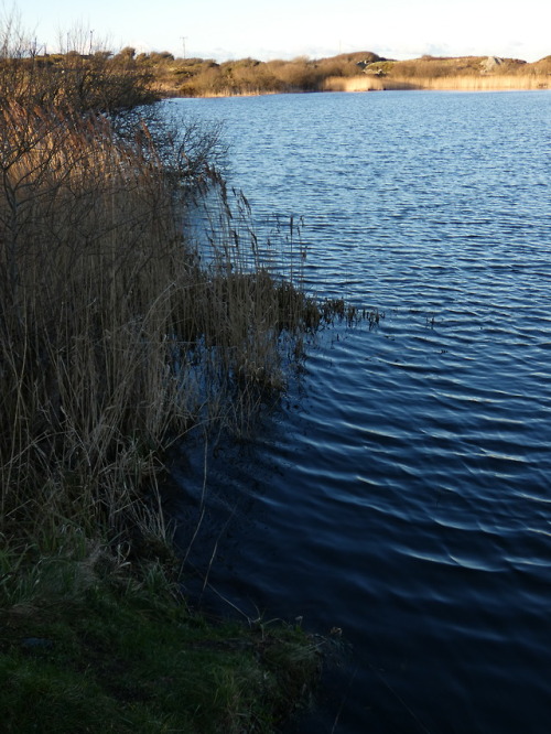 Llyn Cerrig Bach Bronze Age Votive Lake, Anglesey, North Wales, 4.2.18.During the Bronze Age many vo