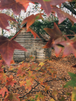 brutalgeneration:  Cabin in the woods | San Antonio, TX (by indiobranco)