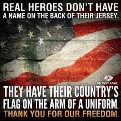 mooseblogtimes:  thank  veterans, don`t