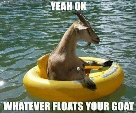 babygoatsandfriends:
“ littledinobug:
“ babygoatsandfriends
”
floats ma goats
”
been saying this since 05