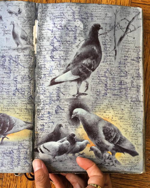 Porn Pics itscolossal:  Inside the Well-Traveled Sketchbooks