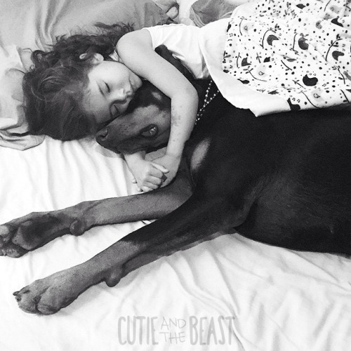 dailydoseofdoberman: Some more cuteness :)