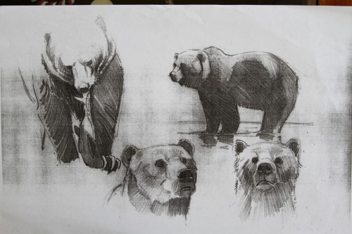 emarelda:  the-disney-elite:  Aaron Blaise’s gorgeous character studies for Brother Bear (2003).    @artemispanthar 