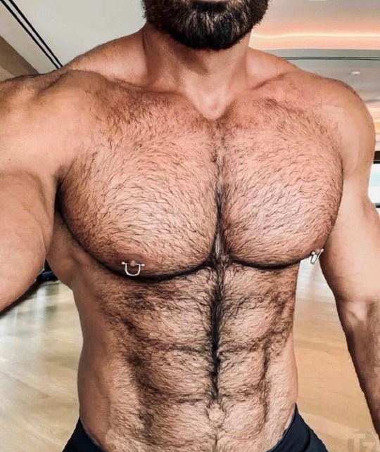 muscledudelover:zensasian:Fuck. 