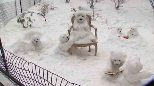 gentlemangeek:  pictures-of-dogs:looked up “snow dogs” hoping for dogs playing