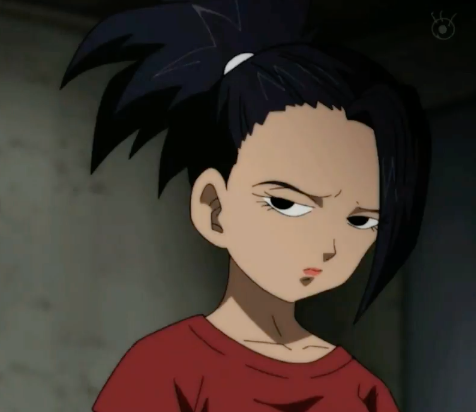 msdbzbabe:GOOD JOB GUYS! THEY REALLY ARE TWO DIFFERENT FEMALE SAIYANS! 