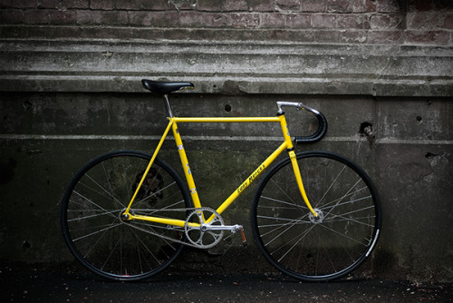 davewellbeloved:Class(via Sakharov Andrey’s Eddy Merckx Track - PEDAL Consumption)