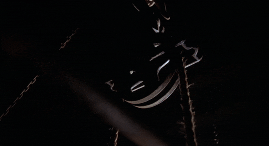 tumblr_paitq2UrJi1wxtgjco3_540.gifv