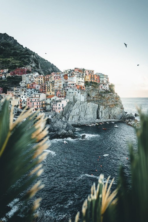 alecsgrg:  „Coastal Colours“ - Manarola, Italy | ( by Manuel Dietrich ) 