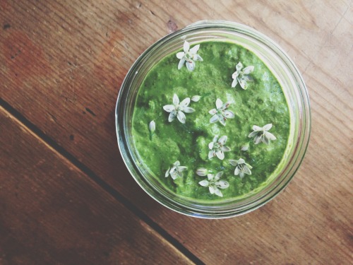 Pesto is a deliciously simple way to pack in the nutrients of the season! It doesn’t always ha