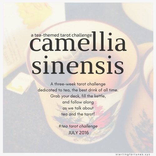 postfaces:Camellia Sinensis: A species of small, evergreen shrubs whose buds and leaves are used to 