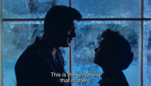 All That Heaven Allows (Douglas Sirk, 1955)