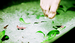  teen wolf meme - [3/3] colours► green 