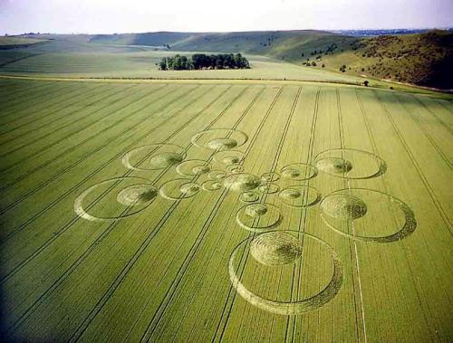 vraieronique:L’ Art, aussi, est dans le pré ..!
