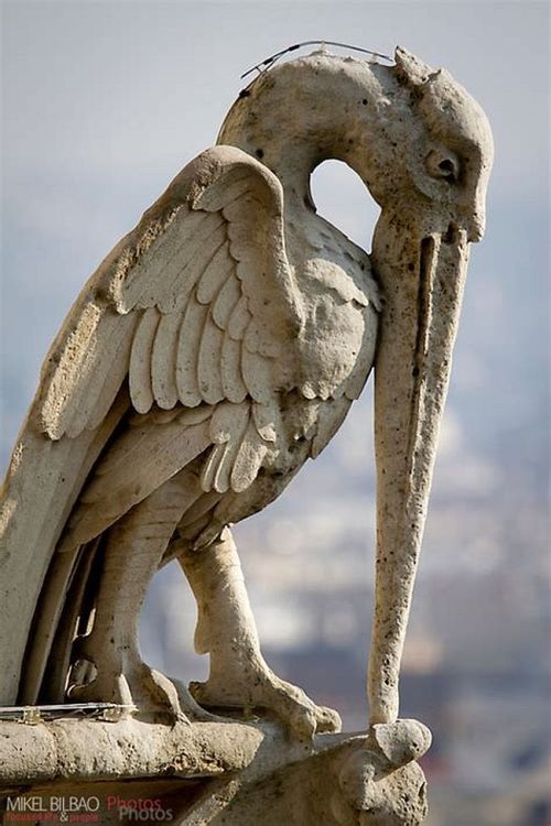 thelongvictorian:A few of the famous gargoyles of Notre Dame Cathedral, Paris, France. And an apprec