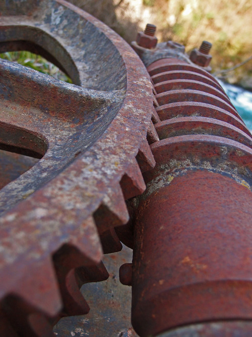 Gear