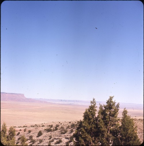 twoseparatecoursesmeet:A Road in the Distance, 1969Doris Thomas
