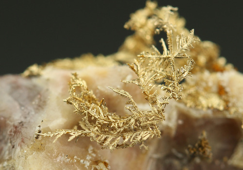 Native Gold on Calcite - Hope&rsquo;s Nose, Torquay, Devon, England