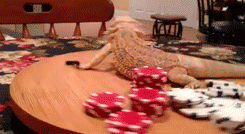The Best of Tumblr Blog - 1000notes.com